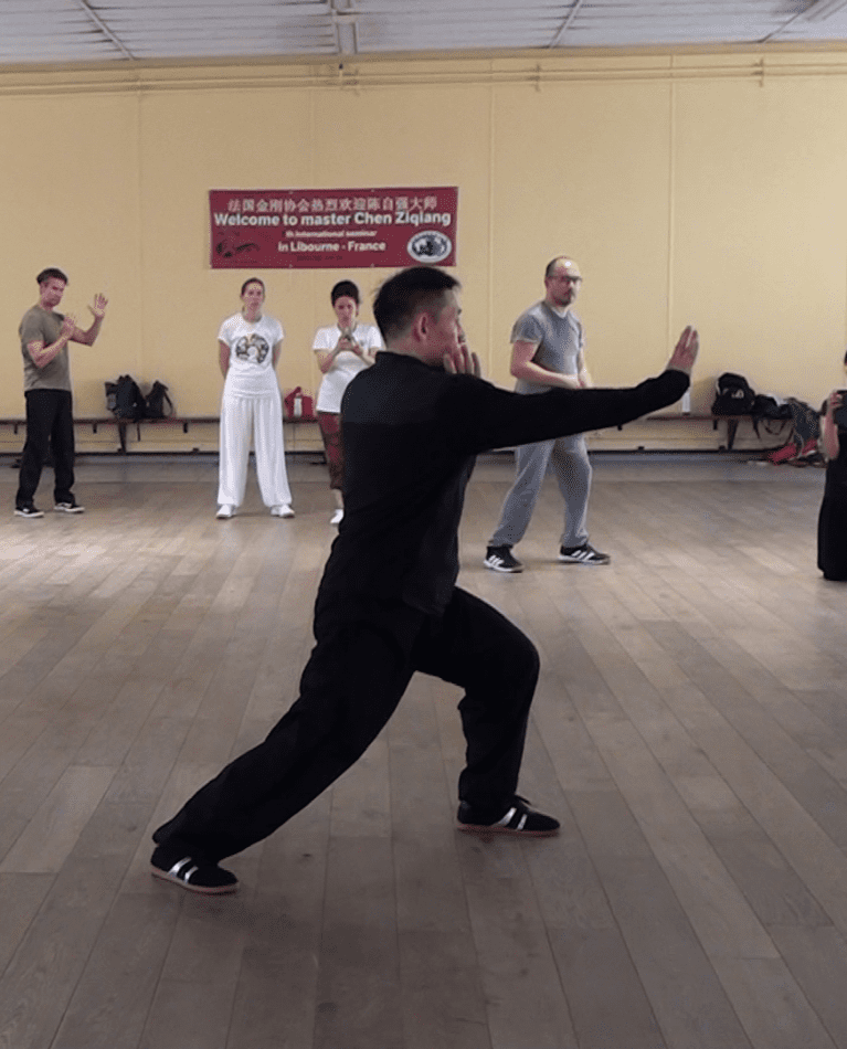 stage tai chi chen ziqiang