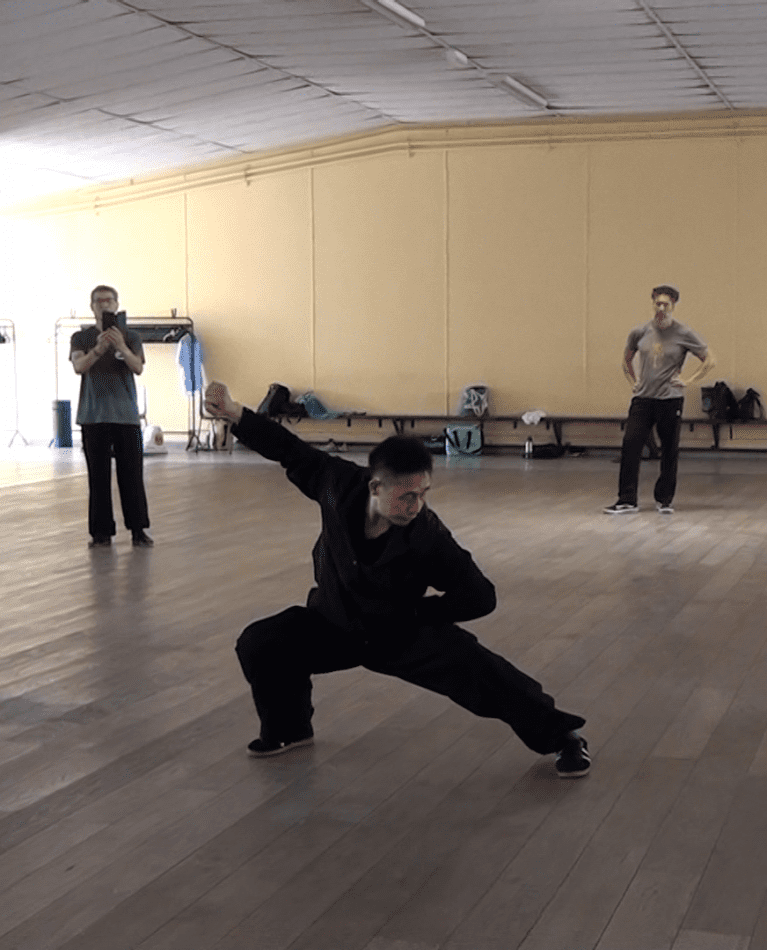 stage taichi chen ziqiang france
