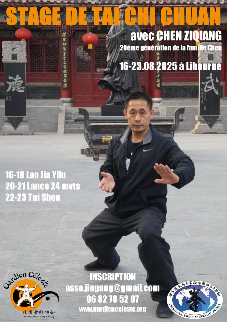 stage tai chi chen ziqiang gironde