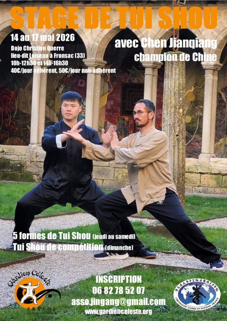 stage tuishou bordeaux 2026 chen jianqiang