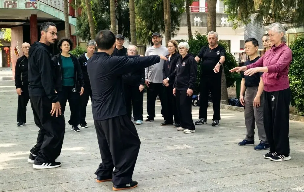 tai chi chuan chen ziqiang