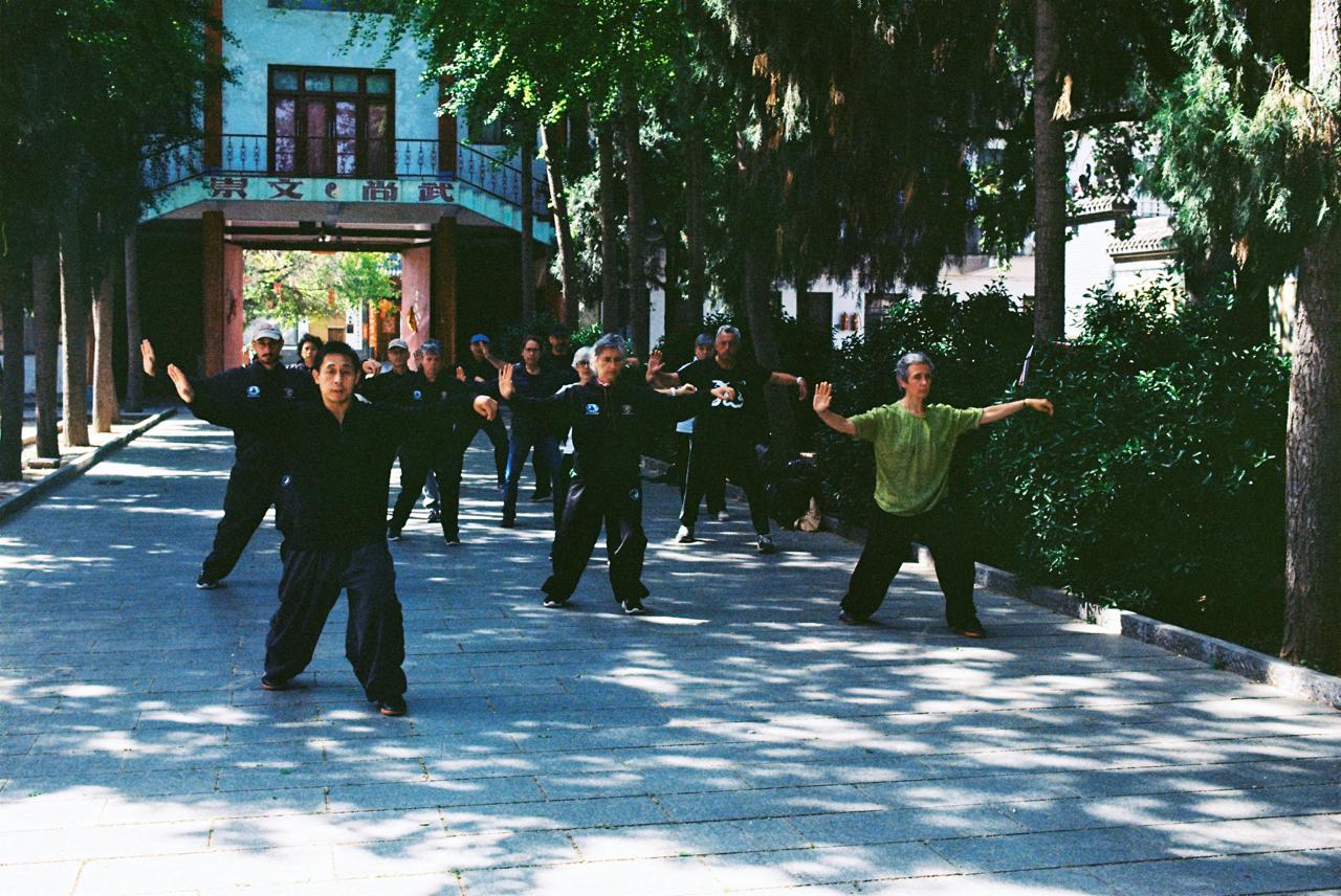 stage association taichi chuan chine