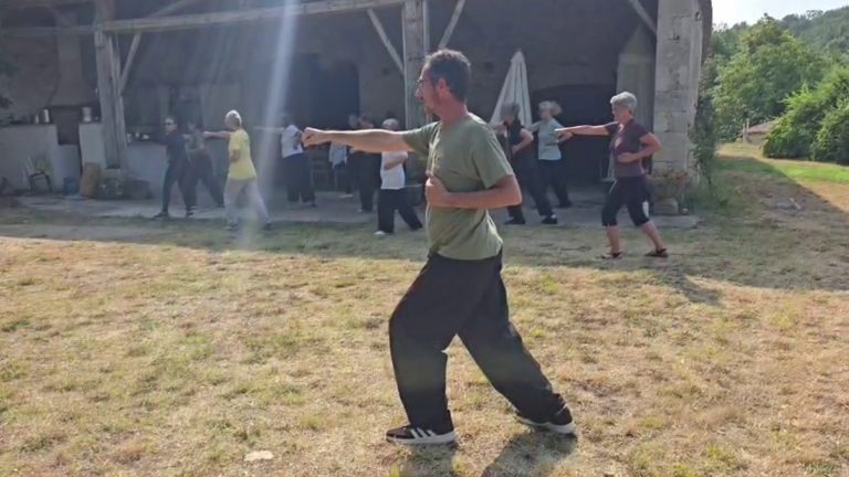 Guillaume Large exécutant le coup de poing droit couvert par la main, forme 9 du Tai Chi Chuan style Chen