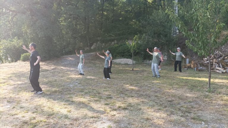 Groupe pratiquant un mouvement de la forme 9, Tai Chi Chuan style Chen, en extérieur