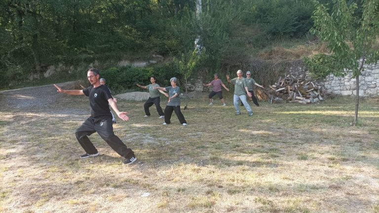 Pratiquant en fente avant, bras tendu, forme 9, Tai Chi Chuan style Chen