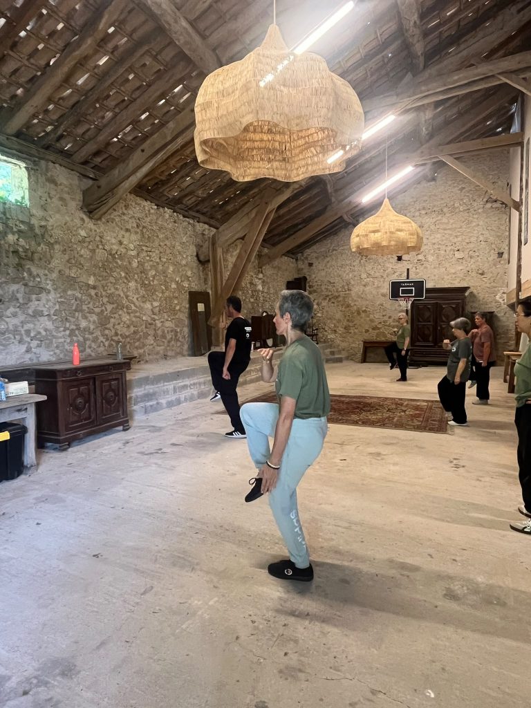Pratiquants en posture d'équilibre, forme Laojia Yilu, Tai Chi Chuan style Chen, en intérieur