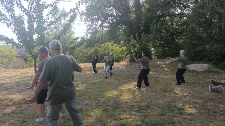 Petits groupes travaillant la forme Laojia Yilu, Tai Chi Chuan style Chen