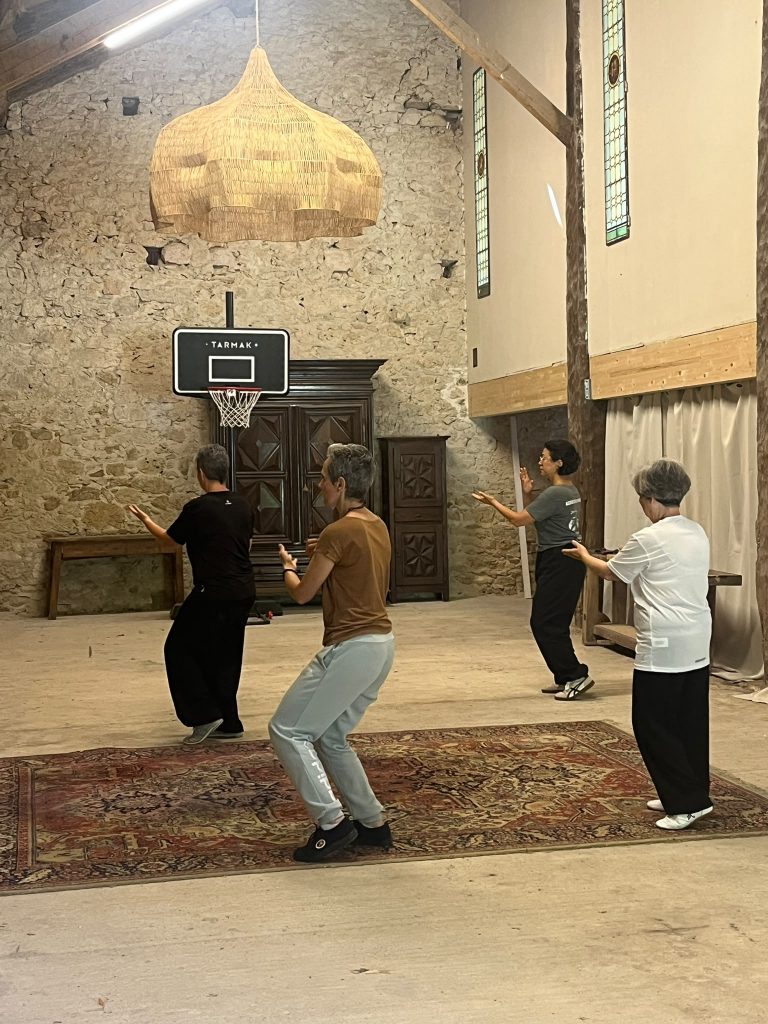 groupe pratiquant le simple fouet, forme Laojia Yilu, Tai Chi Chuan style Chen