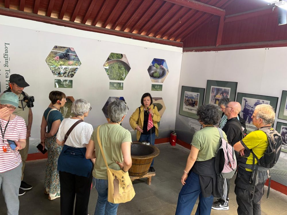 visite plantation thé chine voyage